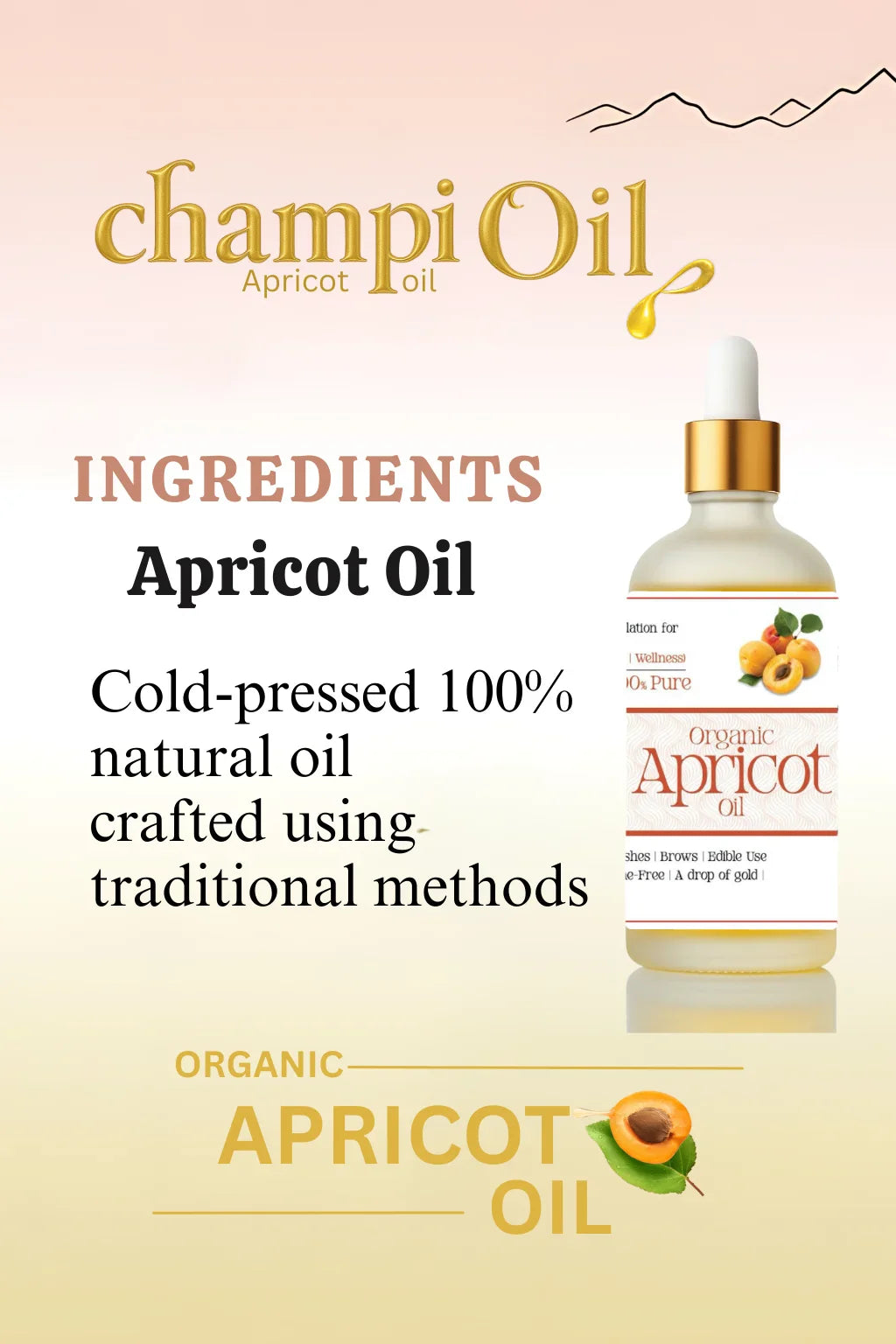 Champi Organic Apricot Oil