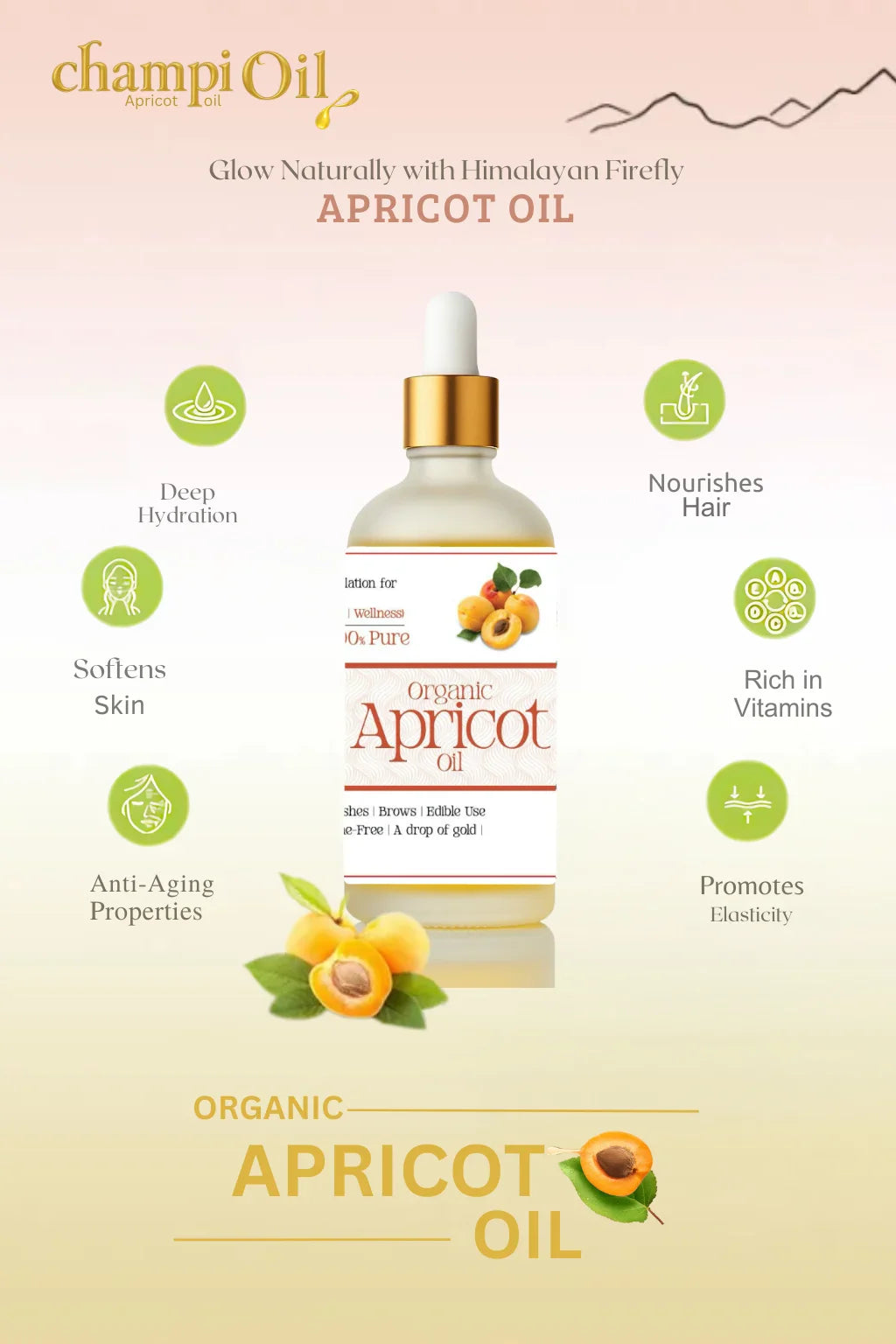 Champi Organic Apricot Oil